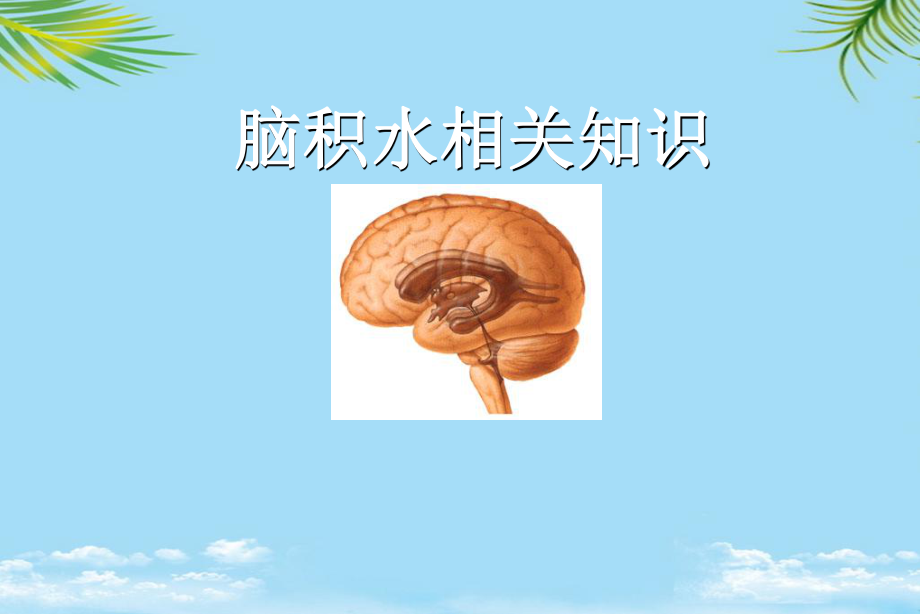 脑积水相关知识课件.ppt_第1页