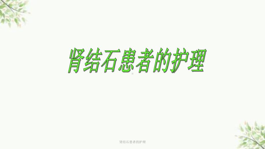 肾结石患者的护理课件.ppt_第1页