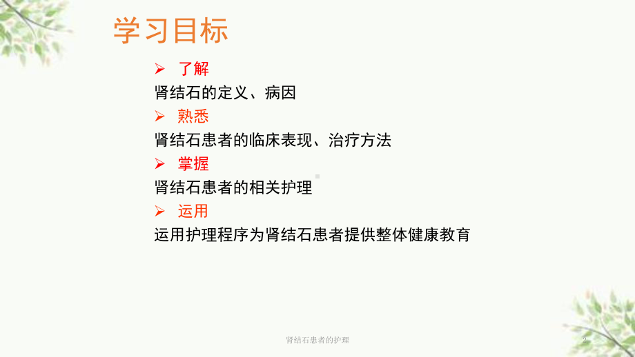 肾结石患者的护理课件.ppt_第2页