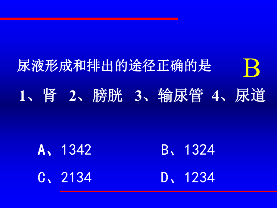 尿液形成过程大全课件.ppt_第2页