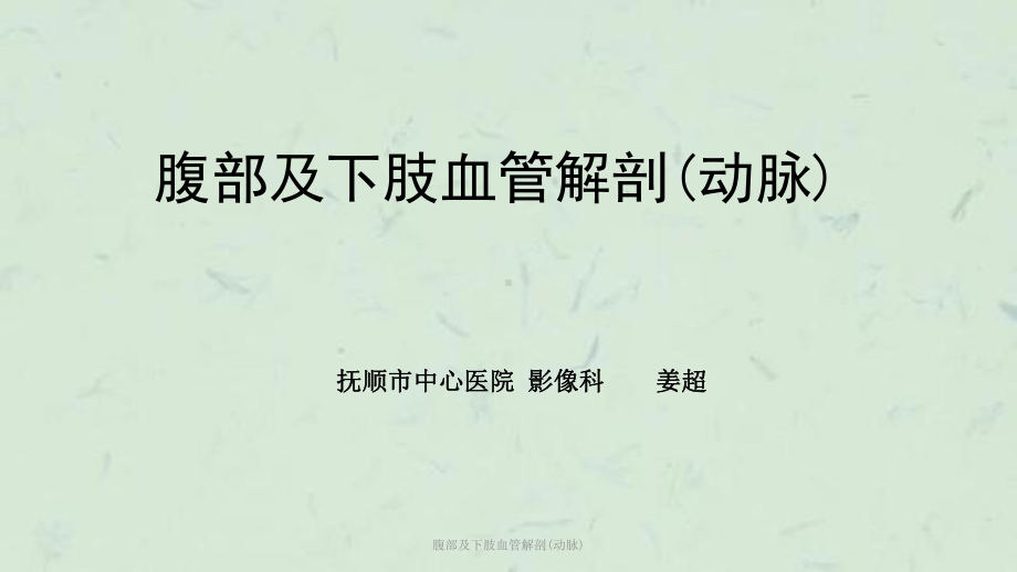 腹部及下肢血管解剖(动脉)课件.ppt_第1页