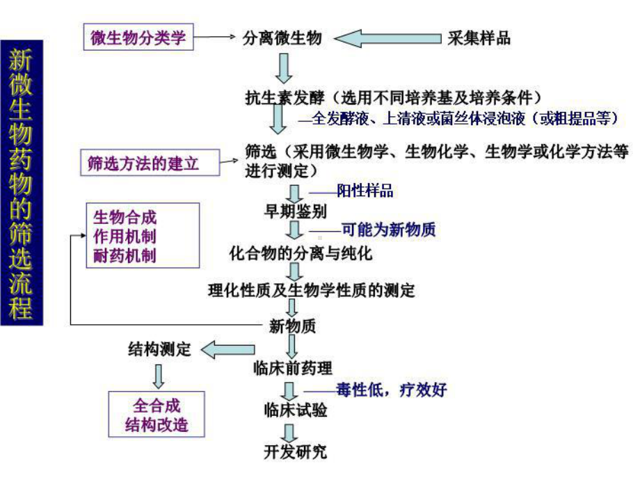 微生物药物产生讲义菌创新课件.ppt_第2页