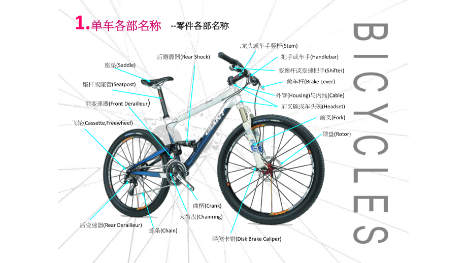 自行车的保养及简易维修课件.pptx_第2页