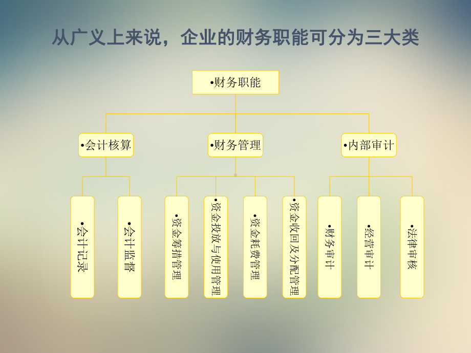 财务管理体系诊断现状课件.ppt_第3页