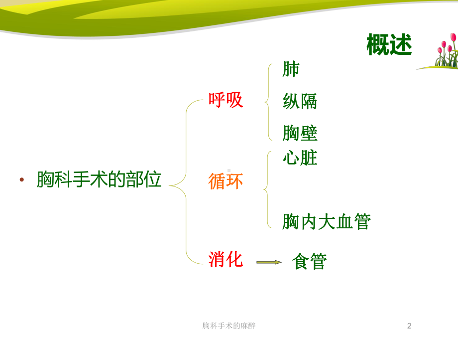 胸科手术的麻醉培训课件.ppt_第2页