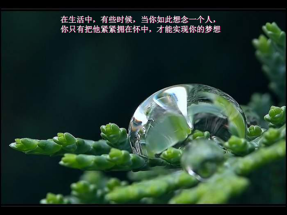 生活是美丽的呀课件.ppt_第2页