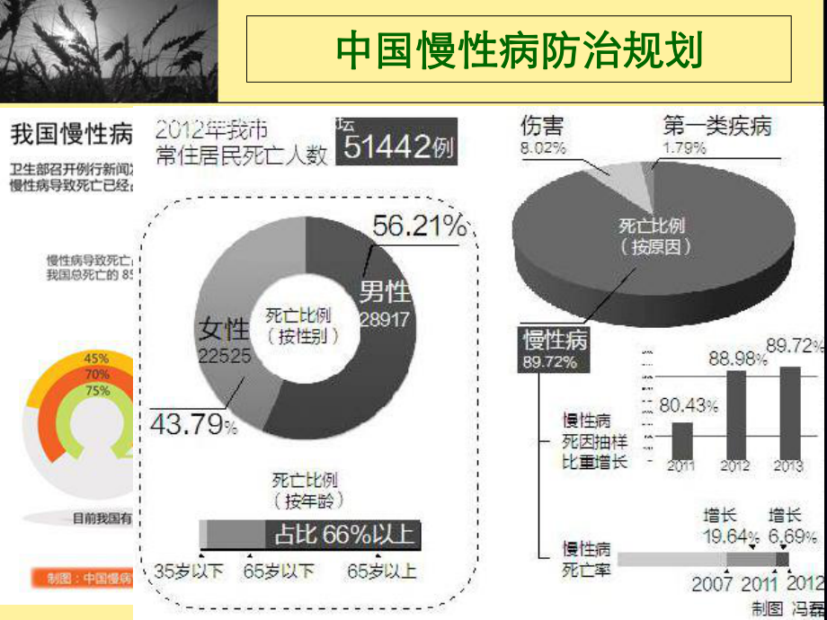 社会医学社会卫生状况与卫生策略--JW课件.ppt_第3页