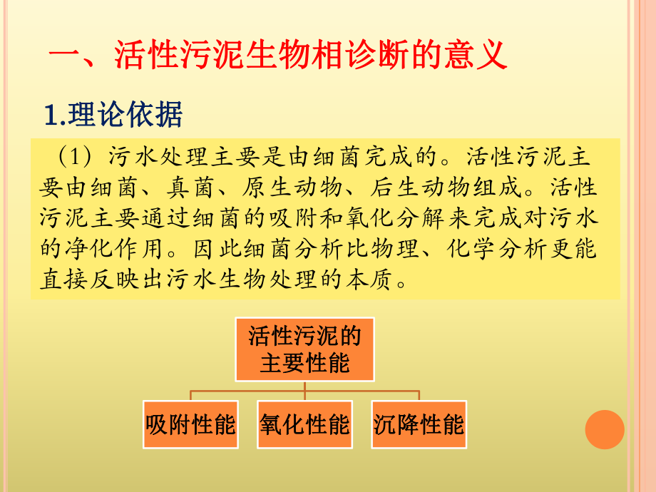 污水处理生物相诊断课件.ppt_第2页