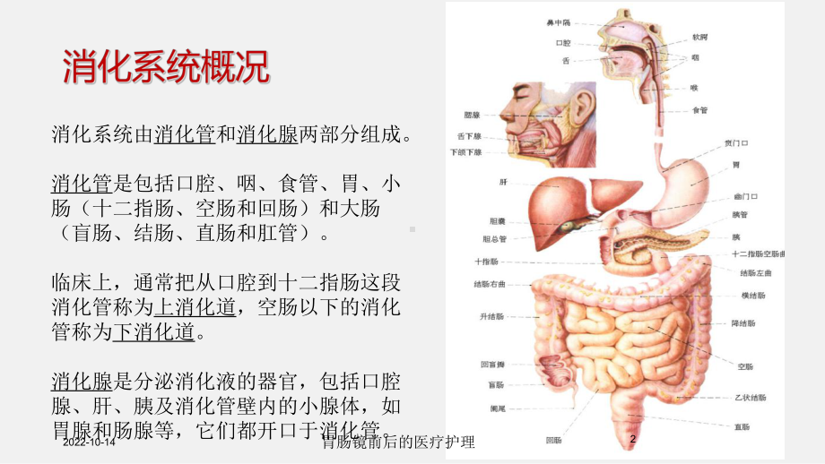 胃肠镜前后的医疗护理培训课件.ppt_第2页