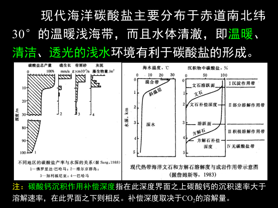 沉积学与层序地层学7章(碳酸盐岩沉积相)课件.ppt_第2页