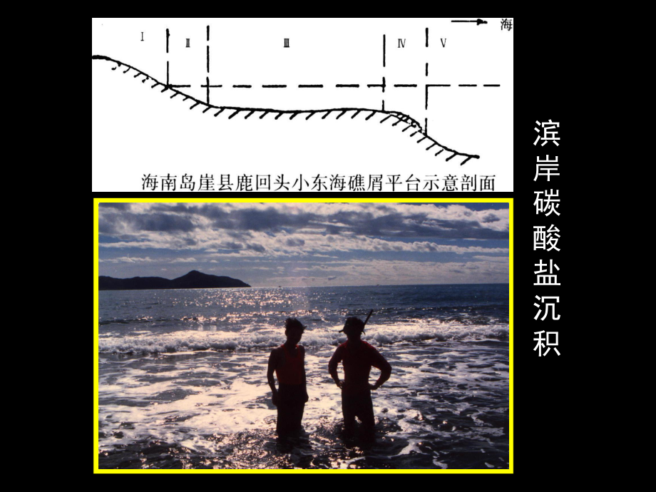 沉积学与层序地层学7章(碳酸盐岩沉积相)课件.ppt_第3页