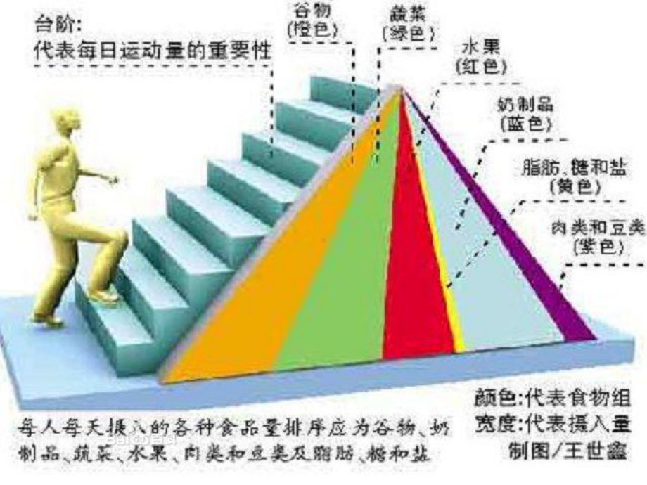 脑卒中病人的饮食护理课件.ppt_第3页