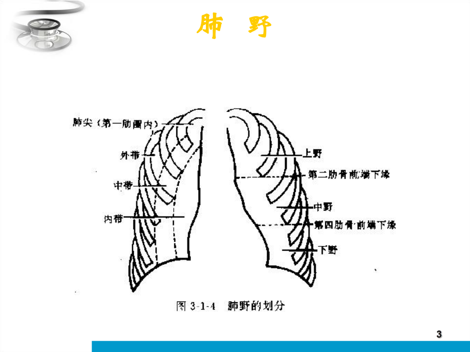 执业医师X线读片课件.ppt_第3页