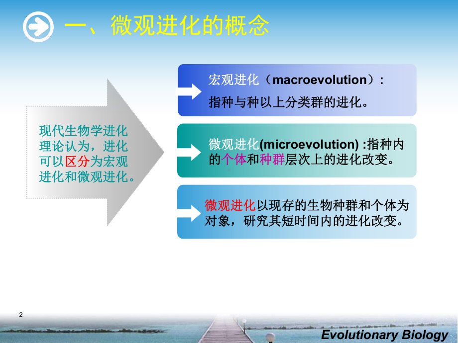 生物的微观进化-课件.ppt_第2页