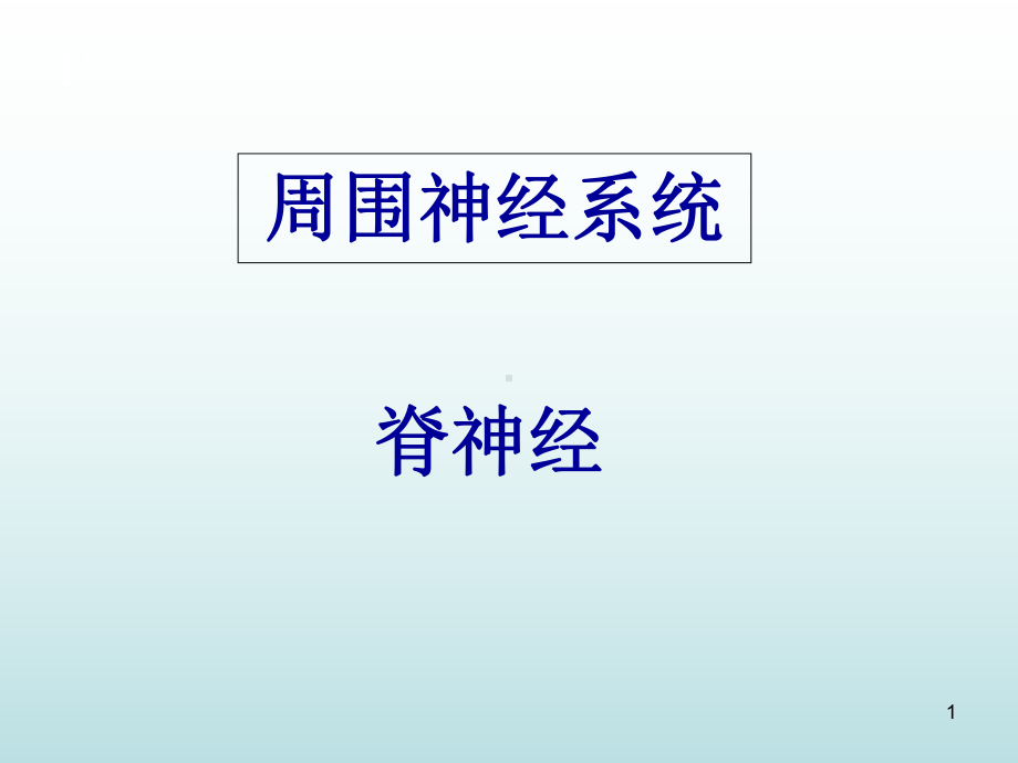 脊神经解剖医学课件.ppt_第1页