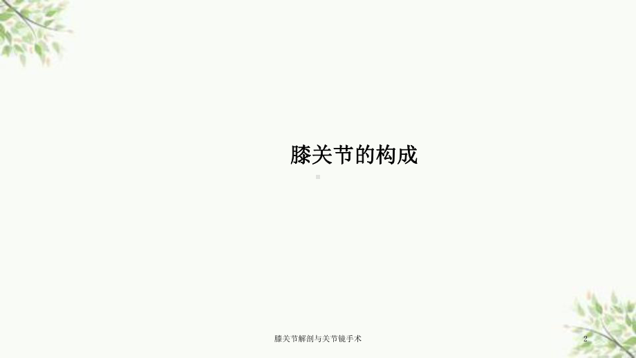 膝关节解剖与关节镜手术课件.ppt_第2页