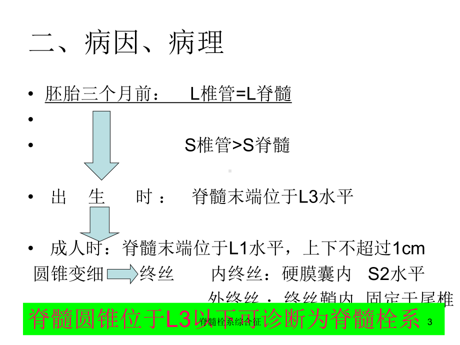 脊髓栓系综合征培训课件.ppt_第3页