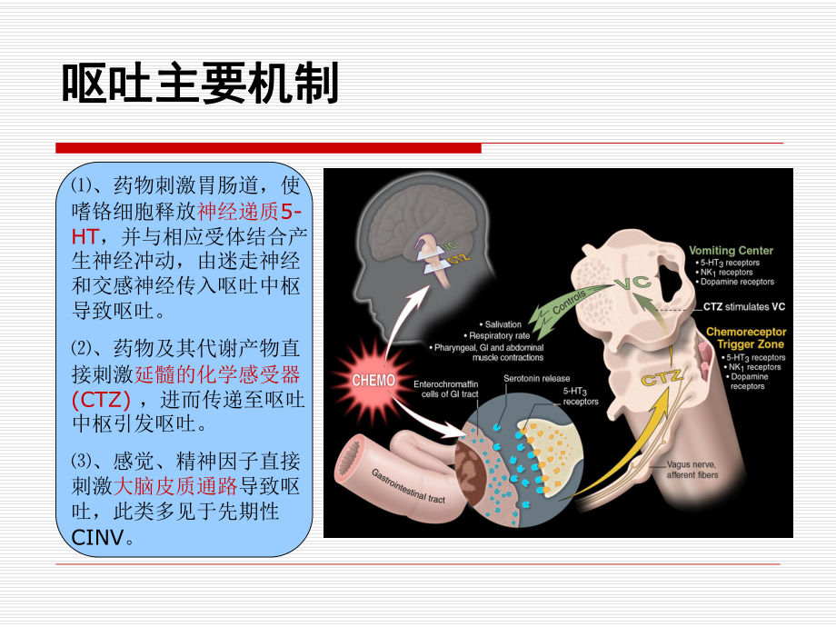 常用化疗止呕药物简介与应用汇编课件.ppt_第2页