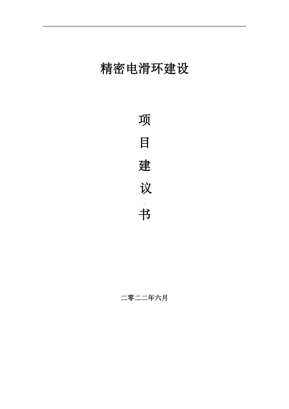 精密电滑环项目建议书（写作模板）.doc_第1页