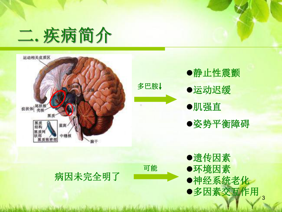 帕金森病患者康复训练课件.ppt_第3页