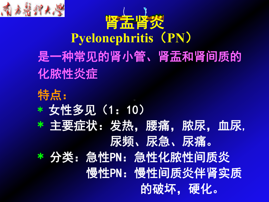 泌尿系统-肾盂肾炎与肿瘤课件.ppt_第3页