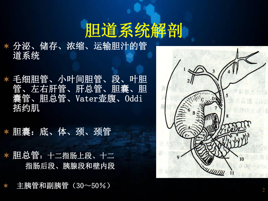 胆道疾病的影像学诊断教学课件.ppt_第2页