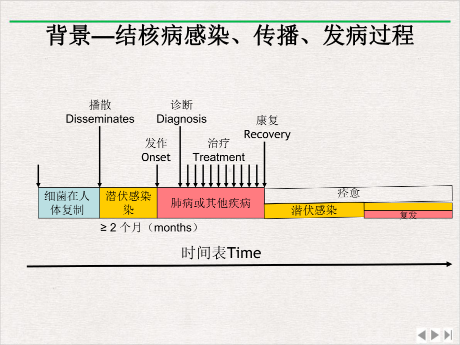 适宜技术应对结核感染实用版课件.ppt_第3页