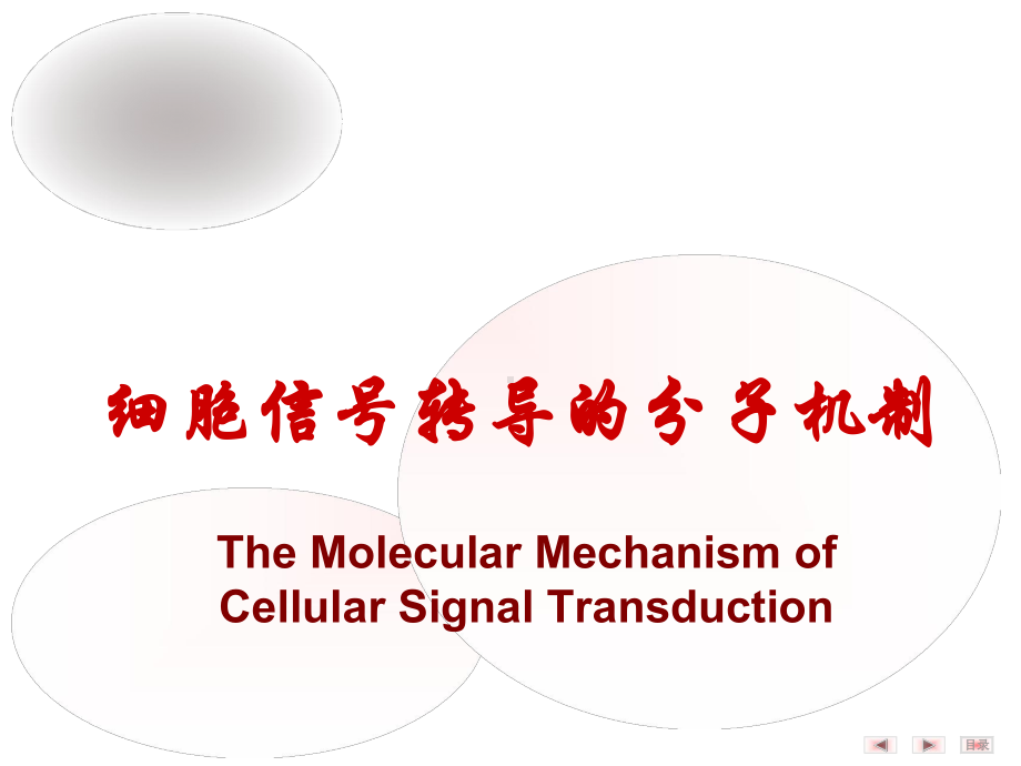 细胞信号转导的分子机制-课件.ppt_第1页