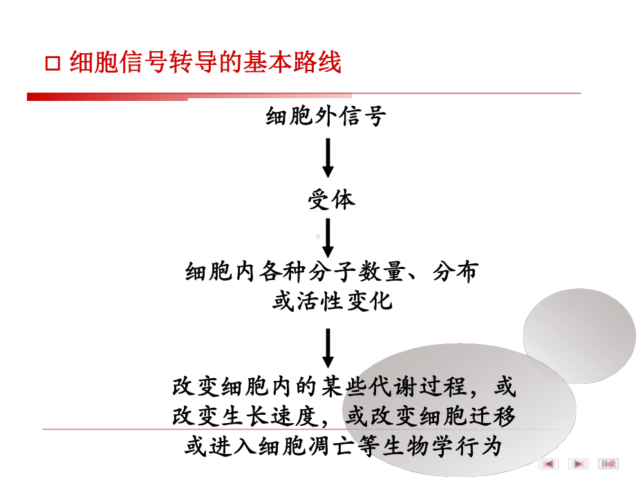 细胞信号转导的分子机制-课件.ppt_第3页