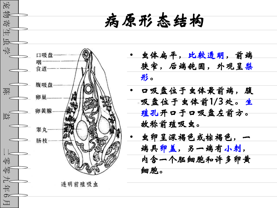 观赏鸟寄生虫部课件.ppt_第3页