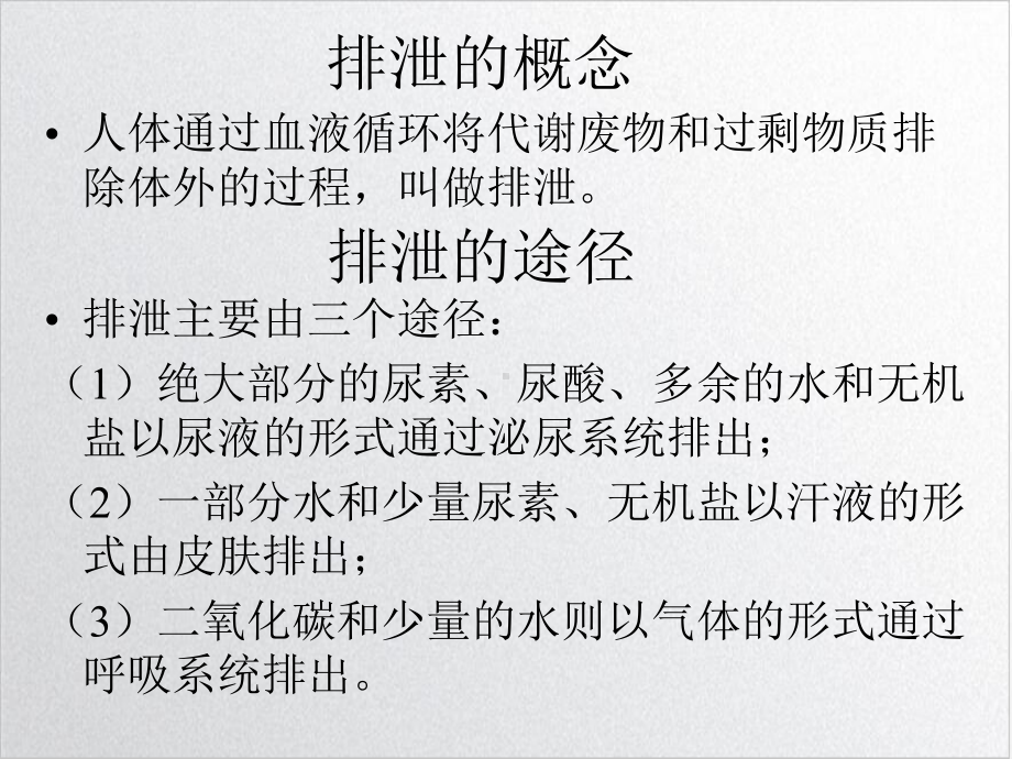 肾脏是主要的排泄器官培训课程课件.ppt_第2页