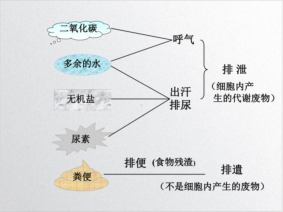 肾脏是主要的排泄器官培训课程课件.ppt_第3页