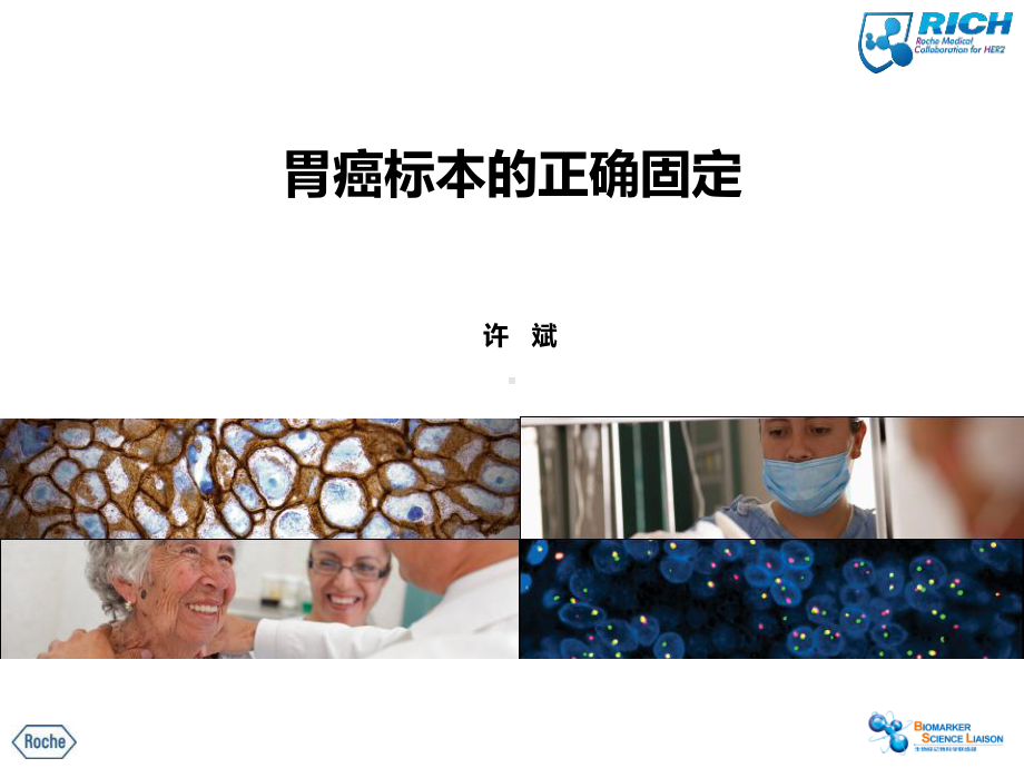 胃癌标本的正确固定许课件.ppt_第1页