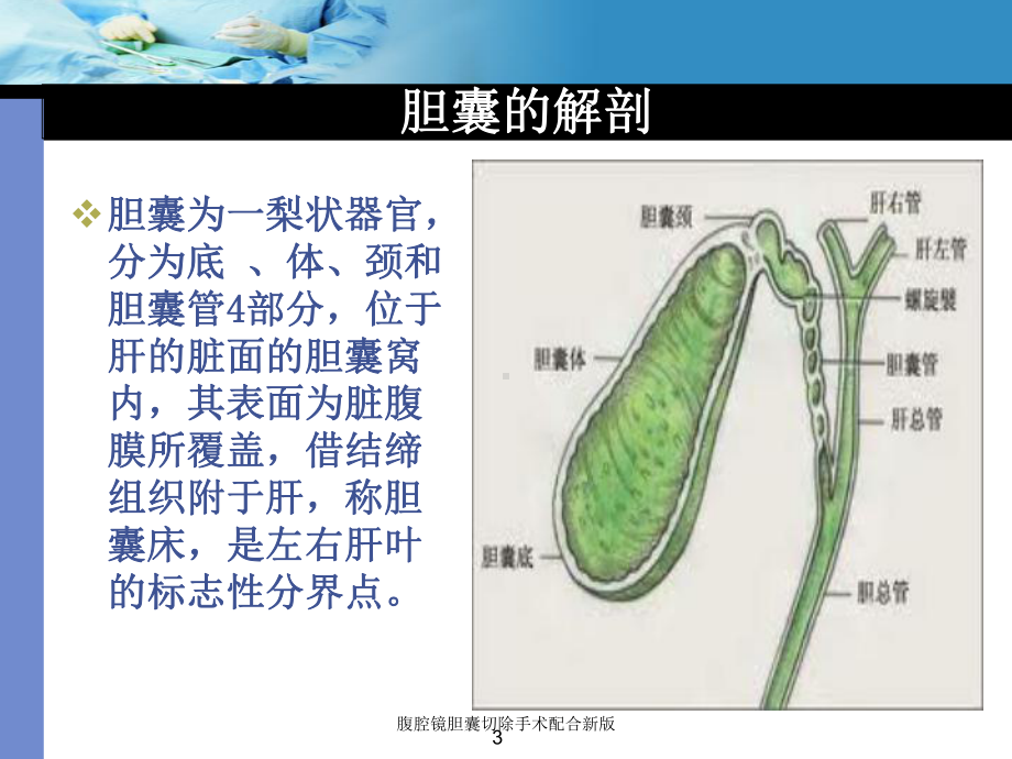 腹腔镜胆囊切除手术配合新版培训课件.ppt_第3页