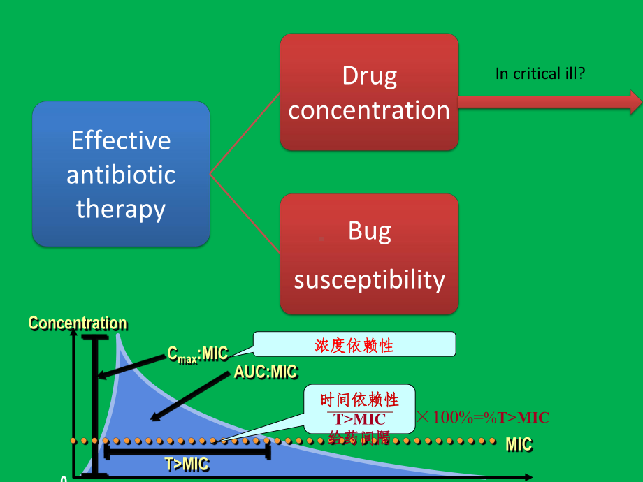 重症病人抗生素个体化给药剂量-课件-参赛-新-.pptx_第3页