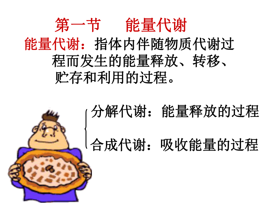 生理学能量代谢课件.ppt_第2页