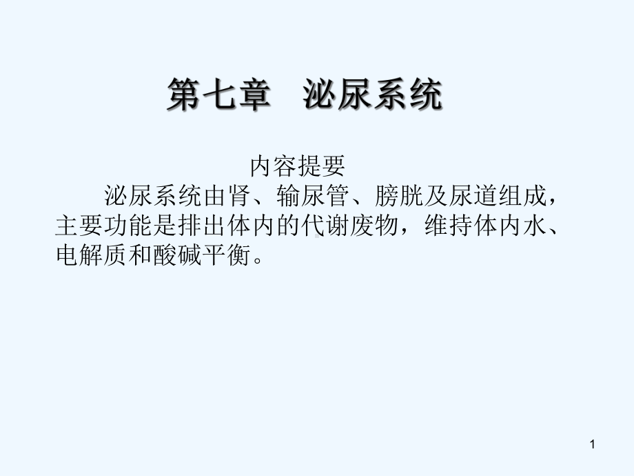 解剖学课件：泌尿系统.ppt_第1页