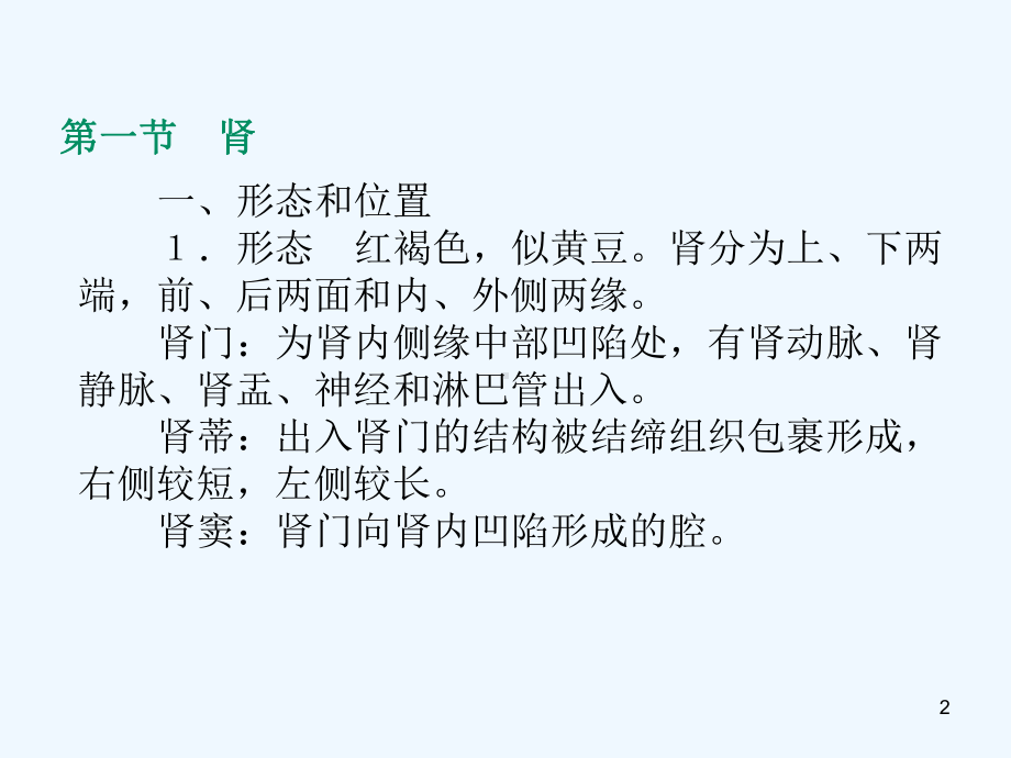 解剖学课件：泌尿系统.ppt_第2页