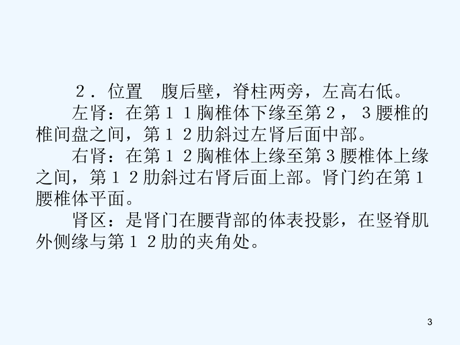 解剖学课件：泌尿系统.ppt_第3页