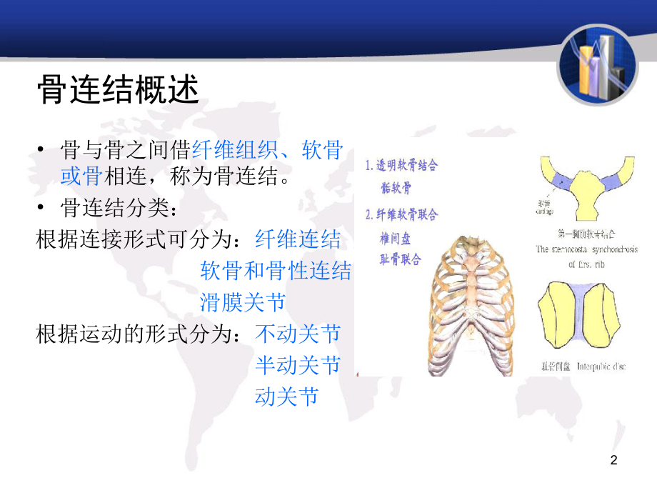 人体各关节概述课件.ppt_第2页