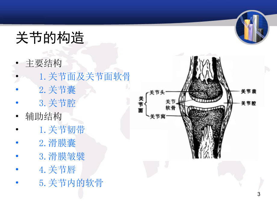 人体各关节概述课件.ppt_第3页