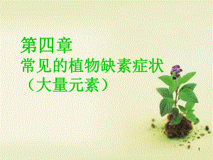 常见的植物缺素症状(大量元素)教学课件.ppt