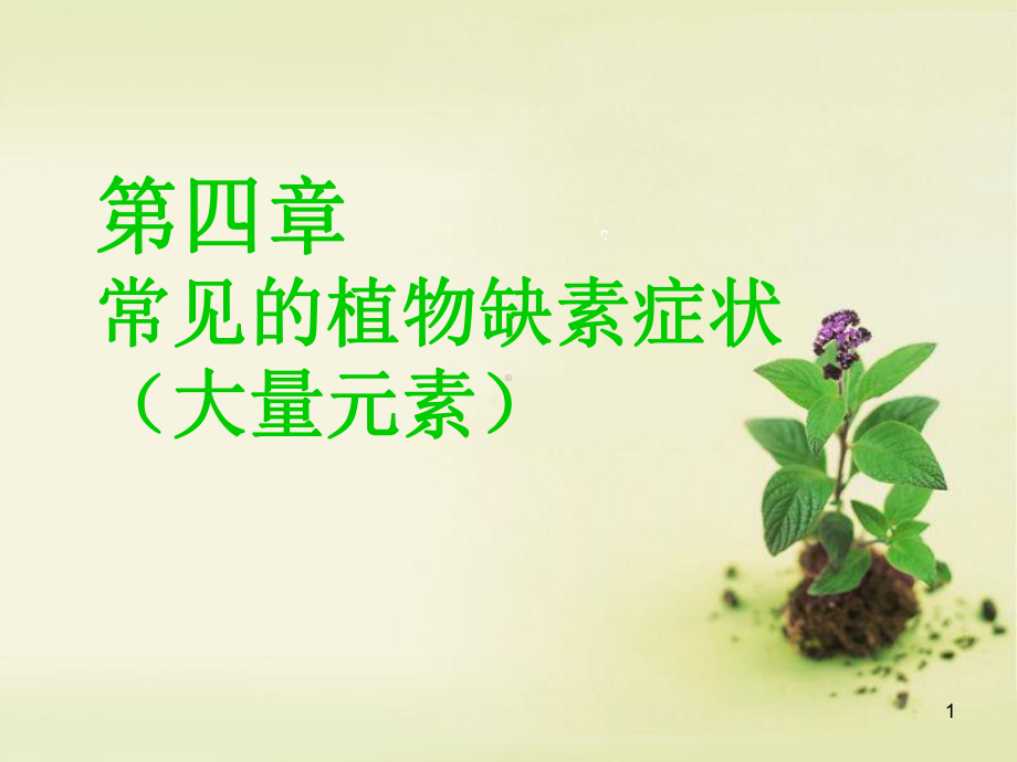 常见的植物缺素症状(大量元素)教学课件.ppt_第1页