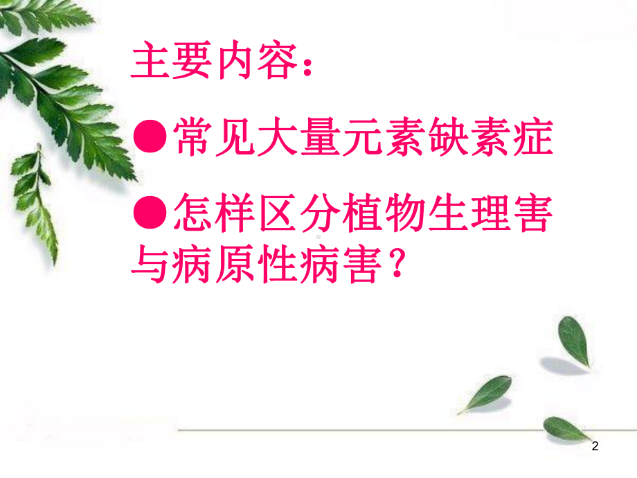 常见的植物缺素症状(大量元素)教学课件.ppt_第2页