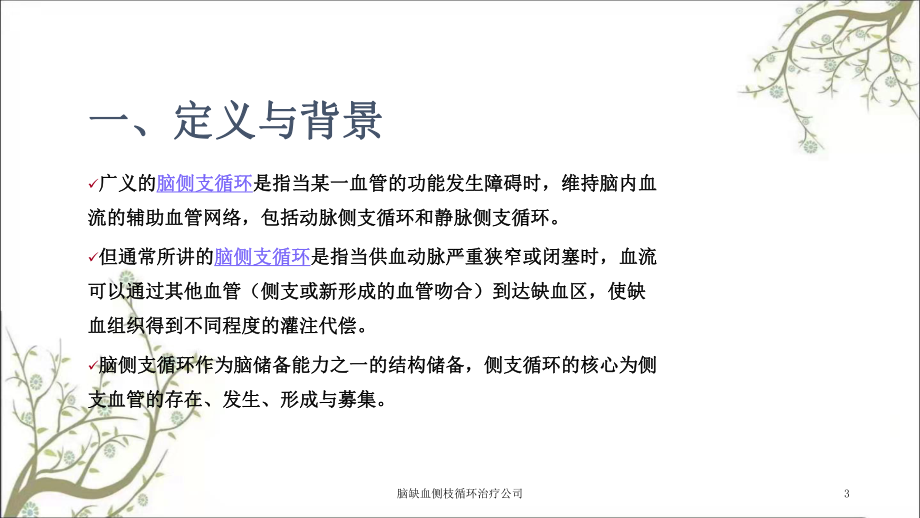 脑缺血侧枝循环治疗公司课件.ppt_第3页