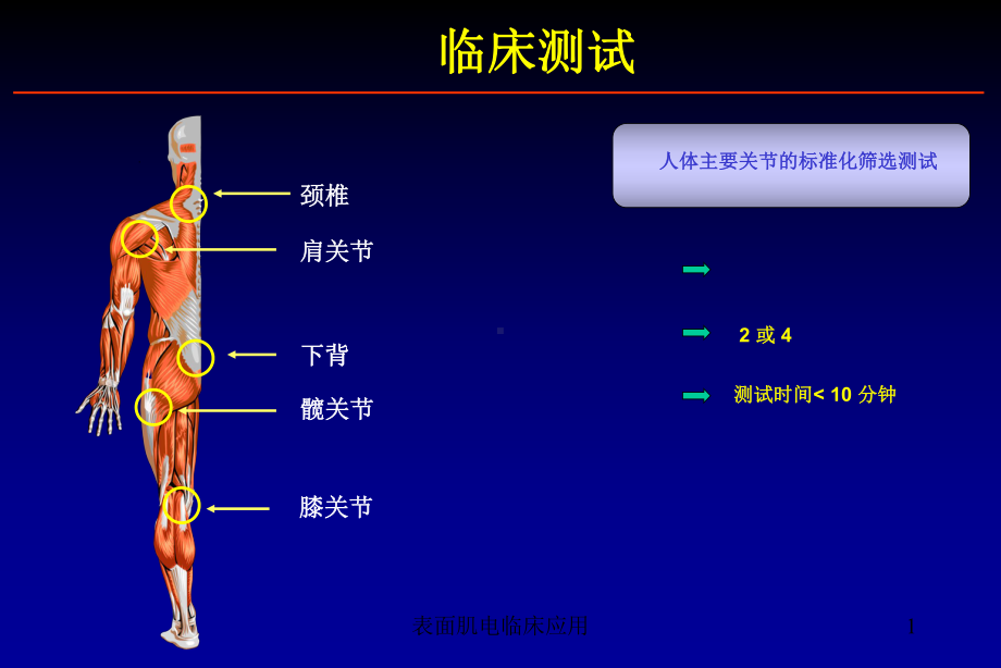 表面肌电临床应用课件.ppt_第1页