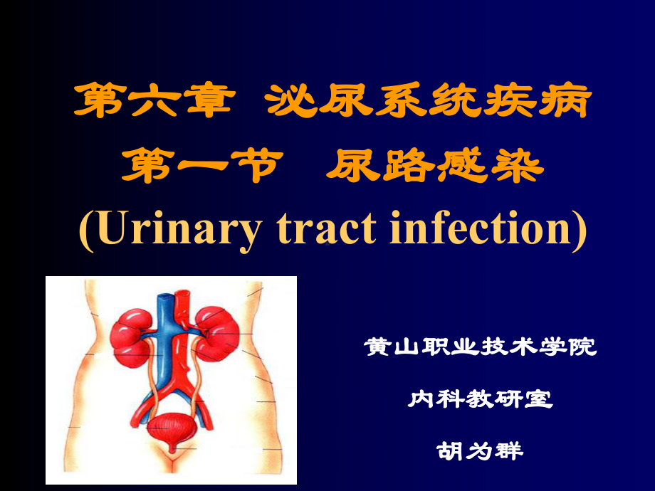 临床医学概要19尿路感染概要课件.ppt_第1页