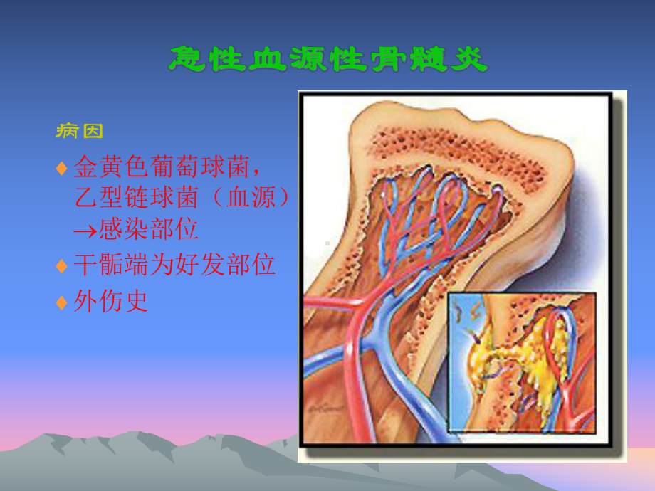 最全十大名校外科学6课件.ppt_第3页