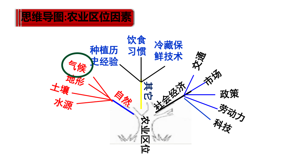 气候对农业的影响课件.ppt_第3页