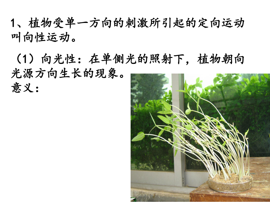 植物生命活动的调节(浙科版)课件.ppt_第3页